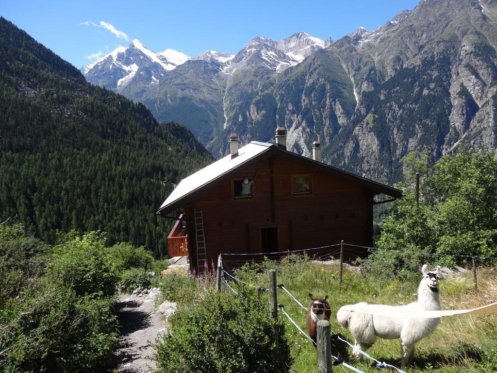 Panorama - Cozy Place in Nature Villa Gasenried Exterior foto